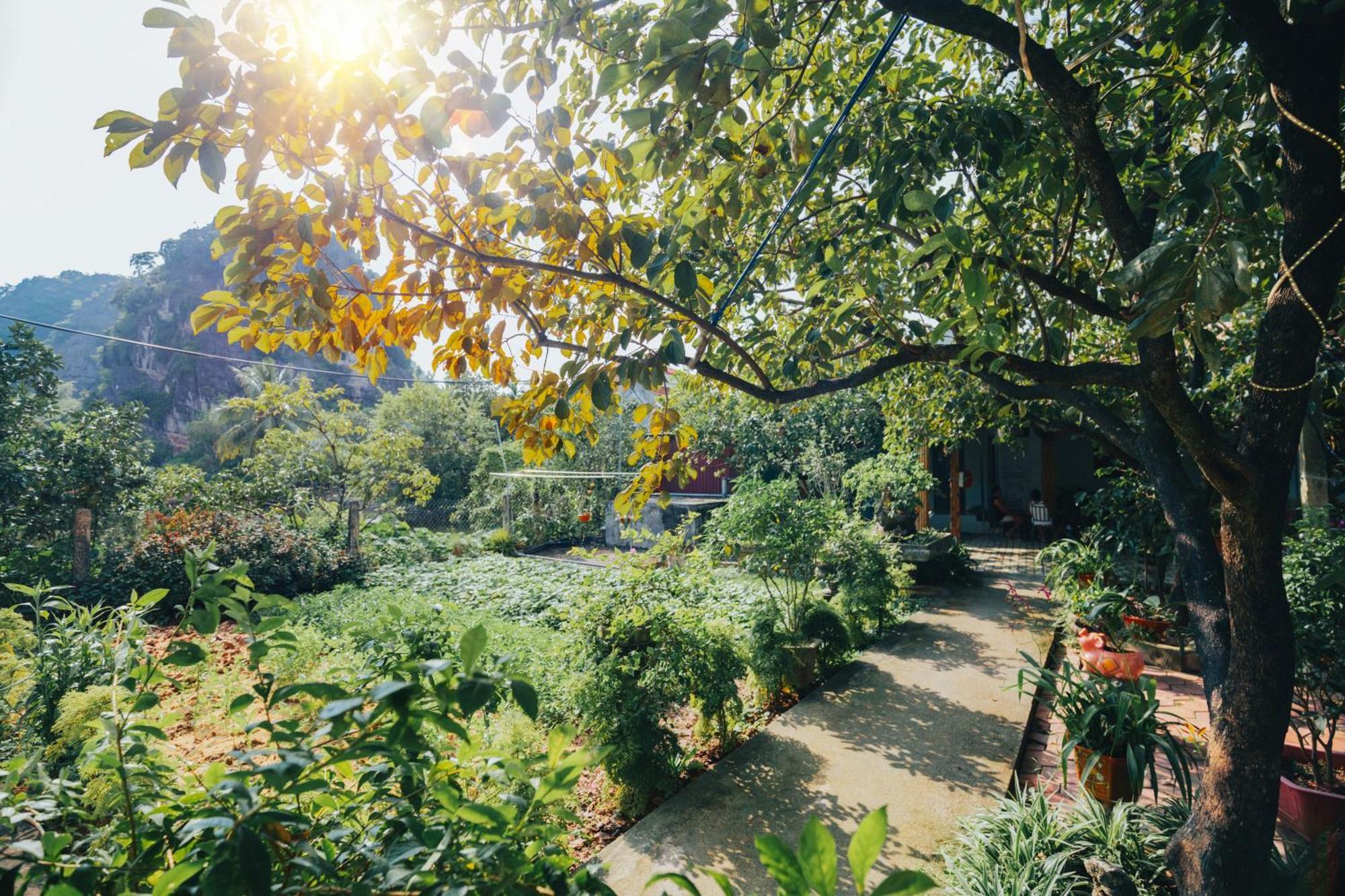 Blue Garden Homestay Ninh Bình Exteriör bild