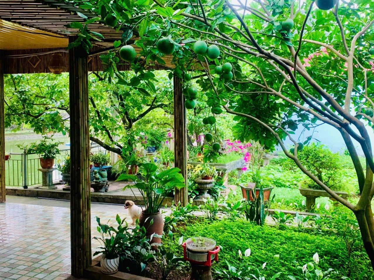 Blue Garden Homestay Ninh Bình Exteriör bild