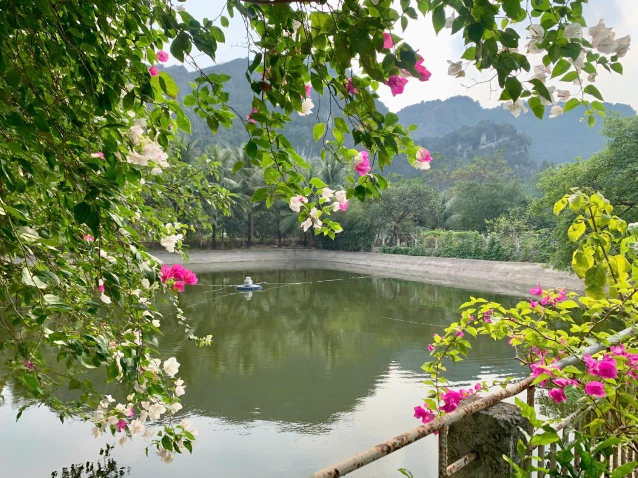 Blue Garden Homestay Ninh Bình Exteriör bild