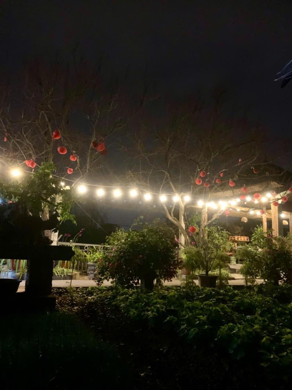 Blue Garden Homestay Ninh Bình Exteriör bild