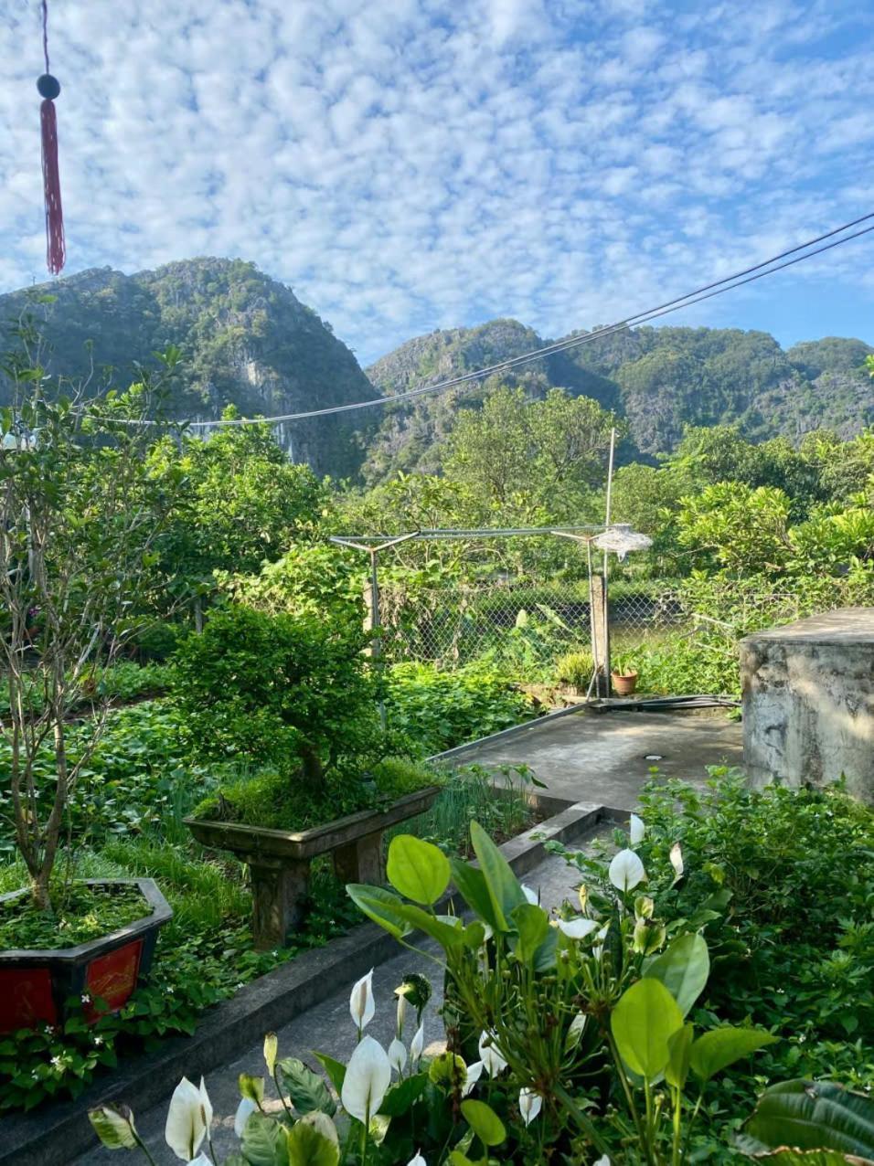 Blue Garden Homestay Ninh Bình Exteriör bild