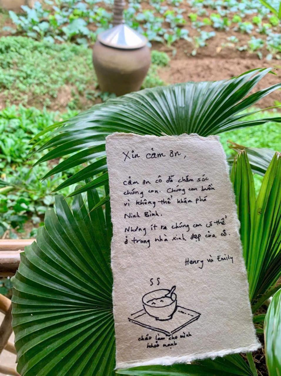 Blue Garden Homestay Ninh Bình Exteriör bild