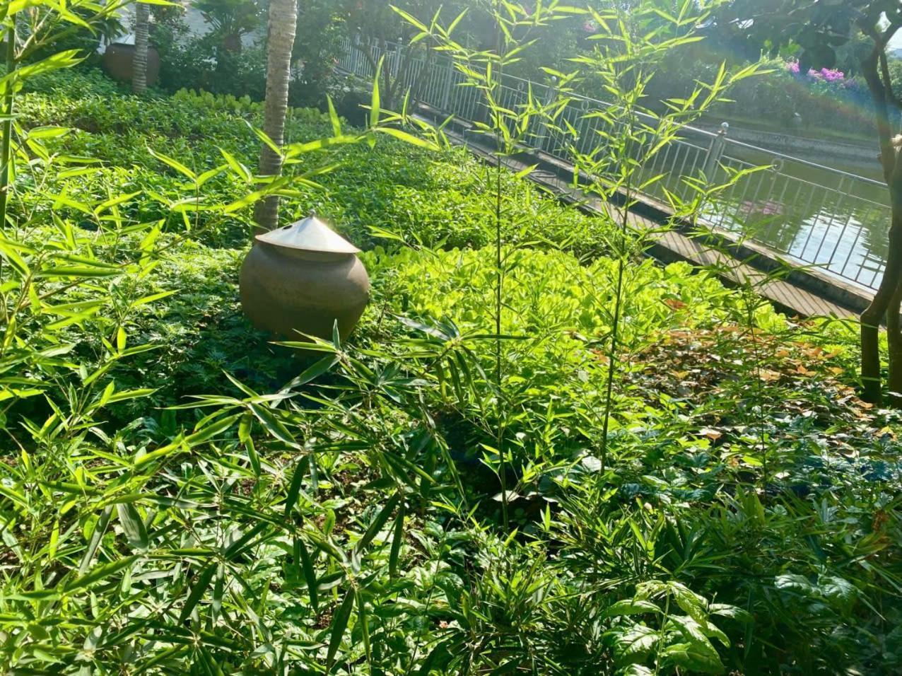 Blue Garden Homestay Ninh Bình Exteriör bild